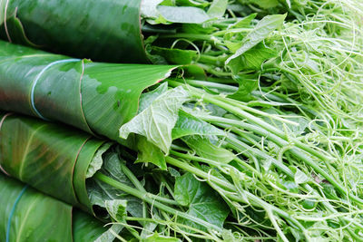 Full frame shot of green leaves