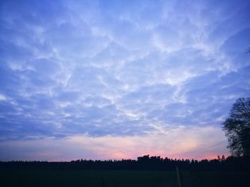 Silhouette trees on field against sky at sunset