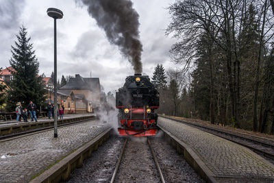 Train on railroad tracks amidst trees against sky