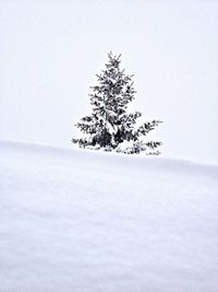 Scenic view of snow covered landscape