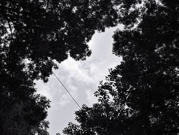 Low angle view of silhouette trees against sky