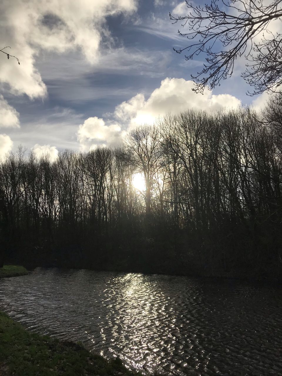 sky, water, tree, cloud - sky, beauty in nature, scenics - nature, tranquil scene, tranquility, no people, plant, nature, reflection, sunlight, non-urban scene, lake, bare tree, waterfront, idyllic, outdoors