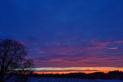 Silhouette trees against sky during sunset
