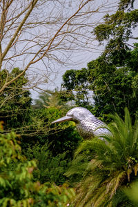 Close-up of bird on branch against plants