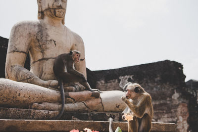 Monkeys sitting by statue against clear sky on sunny day
