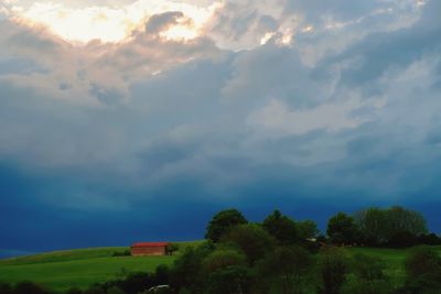 Trees on landscape against sky