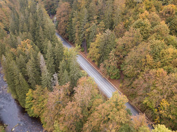 High angle view of road amidst trees in forest