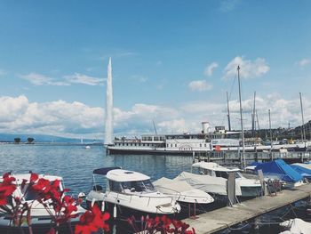 Sailboats moored at harbor against sky