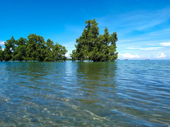 Scenic view of sea against clear blue sky