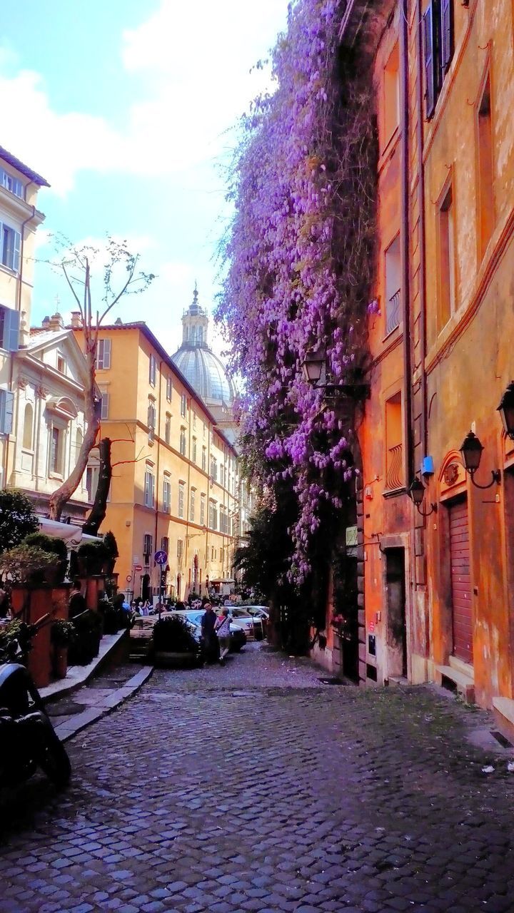 STREET AMIDST BUILDINGS AGAINST SKY