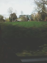 Scenic view of grassy field against sky