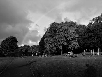 Trees against sky