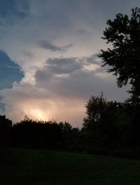 Silhouette trees on field against sky at sunset