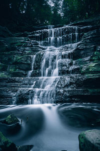 Scenic view of waterfall in forest