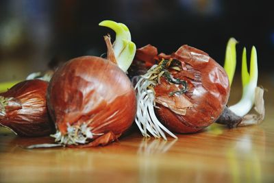 Close-up of fruits on table