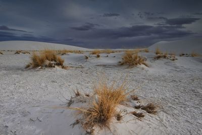 Scenic view of land against sky during winter