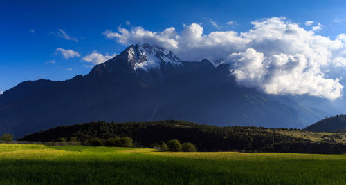 Scenic view of landscape against sky