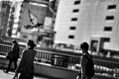 Full length of a bird flying over city