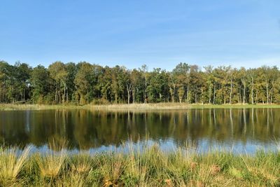 Scenic view of lake against blue sky