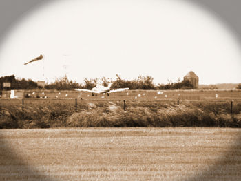 Scenic view of field against clear sky