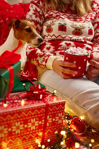 Close-up of christmas decorations