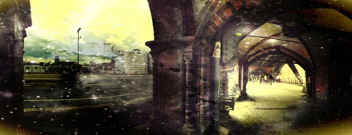 Reflection of trees in water