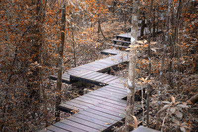 High angle view of boardwalk in forest during winter