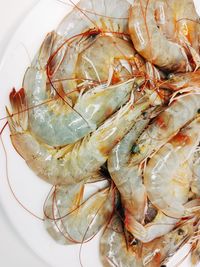 High angle view of fish in plate