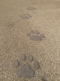 Close-up of footprints on sand at beach