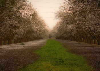 Road passing through landscape