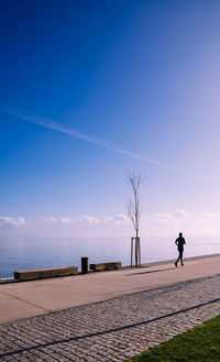 Rear view of man running on footpath by sea against blue sky