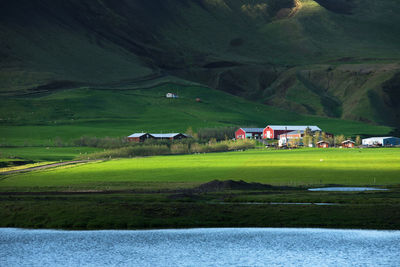 Scenic view of agricultural field