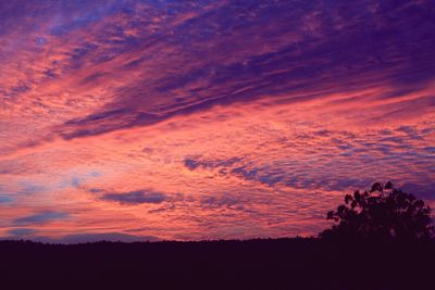 Scenic view of silhouette trees against sky at sunset