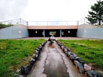 Road amidst plants on field against sky