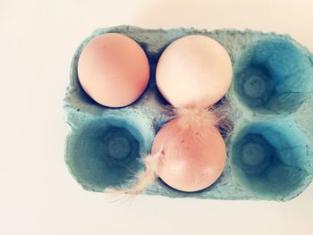 Close-up of eggs against white background