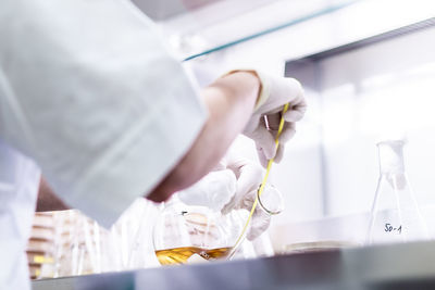 Midsection of scientist working in laboratory