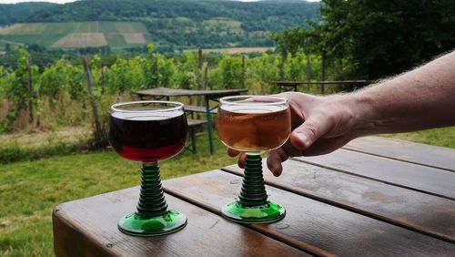 Midsection of man holding wine glasses on table