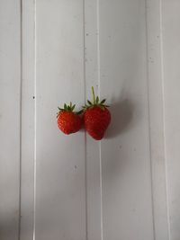 Directly above shot of red berries on wall