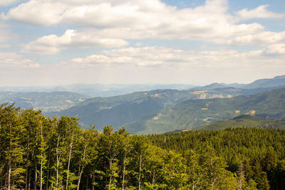 Panoramic view of trees and mountains against sky