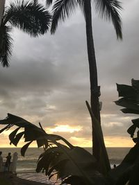 Silhouette palm trees at beach against sky during sunset