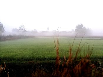 Scenic view of field against sky