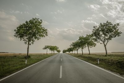 Road amidst trees against sky