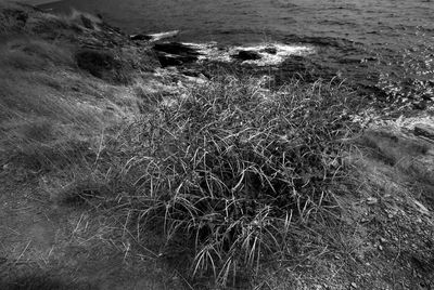 View of sea against sky