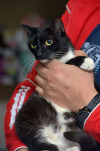 Close-up of hand holding cat at home