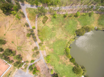 High angle view of river amidst trees