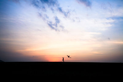 Silhouette of birds flying over beach against sky during sunset