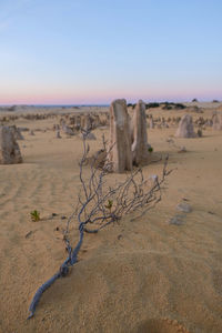 Scenic view of desert against sky