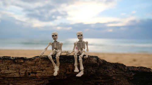 Low angle view of human skull on beach against sky