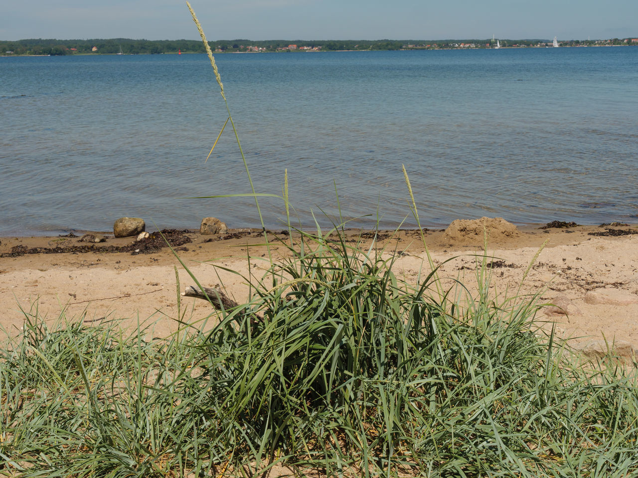 SCENIC VIEW OF BEACH AGAINST SEA