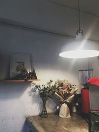 Potted plant on table against illuminated wall at home